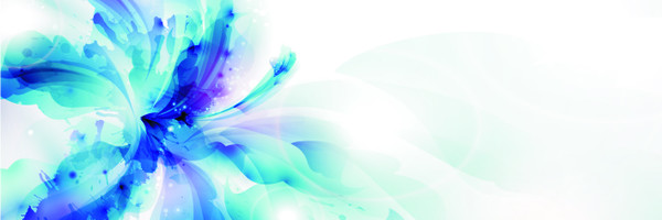 85 %28750x1500%29